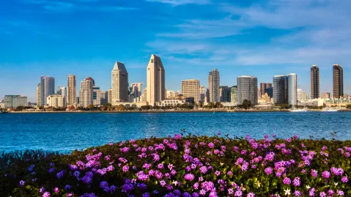 San Diego city with flowers